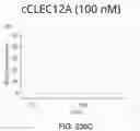 Fig. 348 - Proteins binding NKG2D, CD16 and CLEC12A