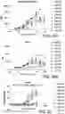 Fig. 35 - Proteins binding NKG2D, CD16 and CLEC12A