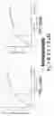 Fig. 403 - Proteins binding NKG2D, CD16 and CLEC12A