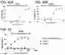 Fig. 43 - Proteins binding NKG2D, CD16 and CLEC12A