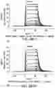 Fig. 447 - Proteins binding NKG2D, CD16 and CLEC12A