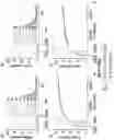 Fig. 62 - Proteins binding NKG2D, CD16 and CLEC12A