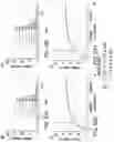 Fig. 63 - Proteins binding NKG2D, CD16 and CLEC12A