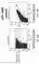 Fig. 97 - Proteins binding NKG2D, CD16 and CLEC12A