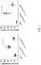 Fig. 02 - ST2 antigen binding proteins