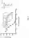 Fig. 06 - ST2 antigen binding proteins