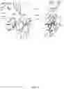 Fig. 09 - ST2 antigen binding proteins