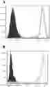 Fig. 01 - FULLY HUMANIZED ANTI-GITR ANTIBODY AND PREPARATION METHOD THEREFOR
