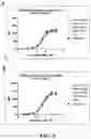 Fig. 04 - FULLY HUMANIZED ANTI-GITR ANTIBODY AND PREPARATION METHOD THEREFOR