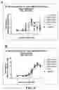 Fig. 05 - FULLY HUMANIZED ANTI-GITR ANTIBODY AND PREPARATION METHOD THEREFOR