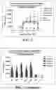 Fig. 06 - FULLY HUMANIZED ANTI-GITR ANTIBODY AND PREPARATION METHOD THEREFOR