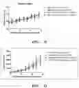 Fig. 13 - FULLY HUMANIZED ANTI-GITR ANTIBODY AND PREPARATION METHOD THEREFOR