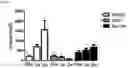 Fig. 18 - CDCP1-TARGETED THERAPIES