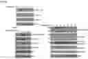 Fig. 22 - CDCP1-TARGETED THERAPIES
