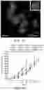 Fig. 10 - PLECTIN-1 BINDING ANTIBODIES AND USES THEREOF