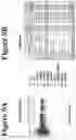 Fig. 10 - Site-specific glycoengineering of targeting moieties