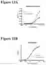 Fig. 16 - Site-specific glycoengineering of targeting moieties