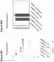 Fig. 64 - Site-specific glycoengineering of targeting moieties
