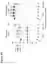 Fig. 68 - Site-specific glycoengineering of targeting moieties