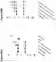 Fig. 71 - Site-specific glycoengineering of targeting moieties