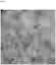 Fig. 08 - Complementary RNA linked bispecific T-cell engaging antibodies