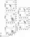 Fig. 13 - Complementary RNA linked bispecific T-cell engaging antibodies