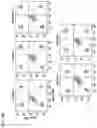 Fig. 14 - Complementary RNA linked bispecific T-cell engaging antibodies