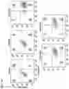 Fig. 15 - Complementary RNA linked bispecific T-cell engaging antibodies