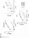 Fig. 16 - Complementary RNA linked bispecific T-cell engaging antibodies