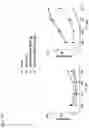 Fig. 20 - Complementary RNA linked bispecific T-cell engaging antibodies