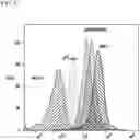 Fig. 23 - Complementary RNA linked bispecific T-cell engaging antibodies