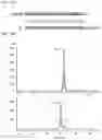 Fig. 33 - Complementary RNA linked bispecific T-cell engaging antibodies