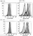 Fig. 35 - Complementary RNA linked bispecific T-cell engaging antibodies