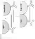 Fig. 37 - Complementary RNA linked bispecific T-cell engaging antibodies