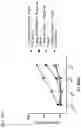 Fig. 38 - Complementary RNA linked bispecific T-cell engaging antibodies