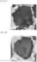Fig. 42 - Complementary RNA linked bispecific T-cell engaging antibodies