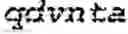 Fig. 05 - Trispecific and/or trivalent binding proteins
