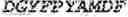 Fig. 243 - Trispecific and/or trivalent binding proteins