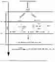 Fig. 02 - Radiolytic method of preparing gels
