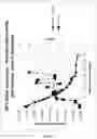 Fig. 08 - Degradable Urethane and Urethane-Urea Systems