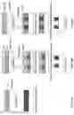 Fig. 09 - Photo-patternable organic semiconductor (OSC) polymers and methods of formation and applications thereof
