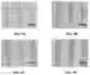 Fig. 10 - Photo-patternable organic semiconductor (OSC) polymers and methods of formation and applications thereof
