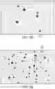 Fig. 06 - THREE-DIMENSIONAL PRINTING WITH PORE PROMOTING COMPOUNDS