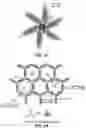 Fig. 03 - Semi-interpenetrating and crosslinked polymers and membranes thereof