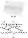 Fig. 04 - Semi-interpenetrating and crosslinked polymers and membranes thereof