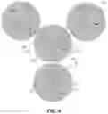 Fig. 05 - Semi-interpenetrating and crosslinked polymers and membranes thereof