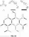 Fig. 06 - Semi-interpenetrating and crosslinked polymers and membranes thereof
