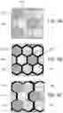Fig. 06 - Production of pigments having a defined size and shape