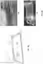 Fig. 05 - TRANSPARENT 3D PRINTED SILOXANE ELASTOMERS