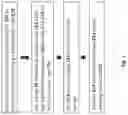 Fig. 02 - FORMULATIONS FOR USE WITH AN INTERMEDIATE TRANSFER MEMBER OF INDIRECT PRINTING SYSTEMS AND PRINTING PROCESSES UTILIZING SAME